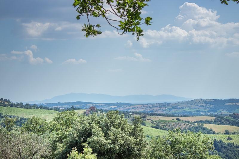 Il Troscione Scansano Bagian luar foto